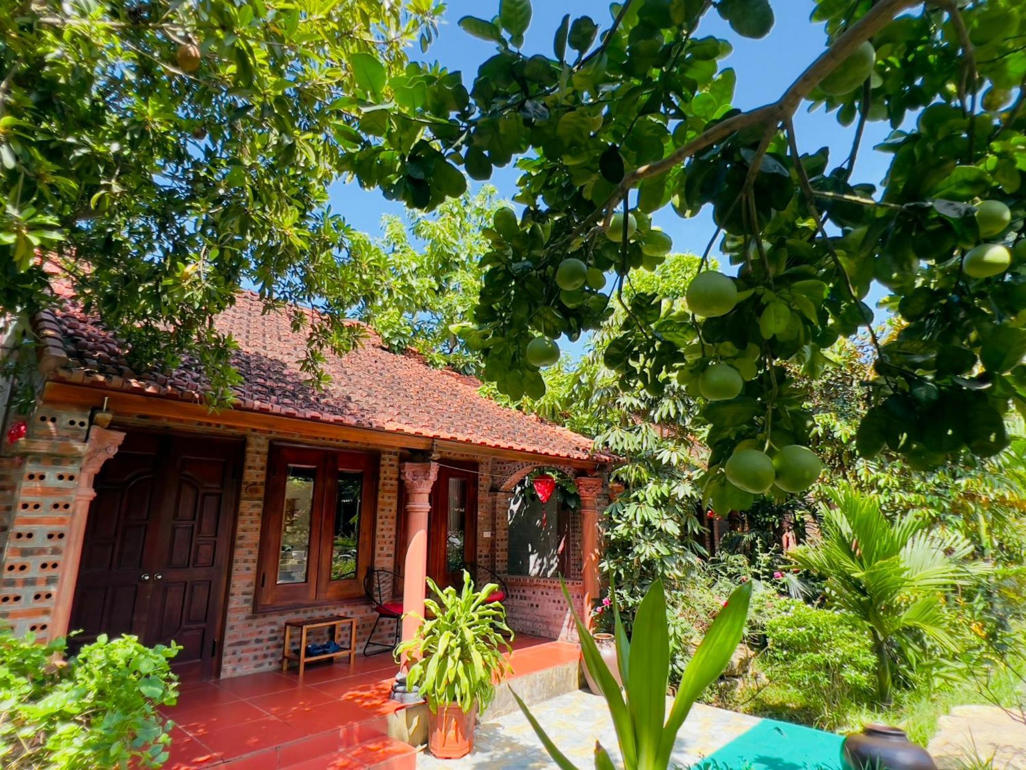 Ninh Binh Family Homestay 외부 사진